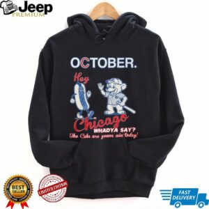 Hey Chicago Whaddya Say Cubs T Shirt
