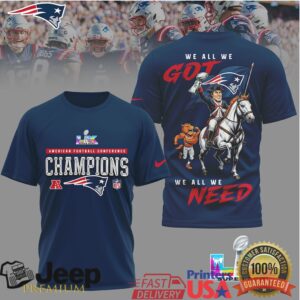 New England Patriots Super Bowl LIX Champions We All We Got T Shirt