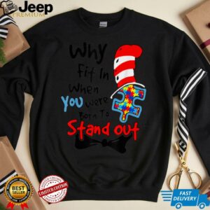 Why Fit In Doctor Teacher Cat In Hat Cool Autism Awareness T Shirt1