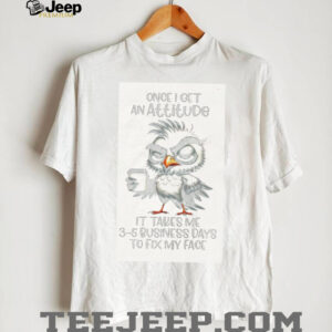 Bird once I get an attitude it takes me 3 5 business days to fix my face shirt0