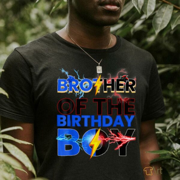 Brother Of The Birthday Boy Hedgehog Family Party T Shirt