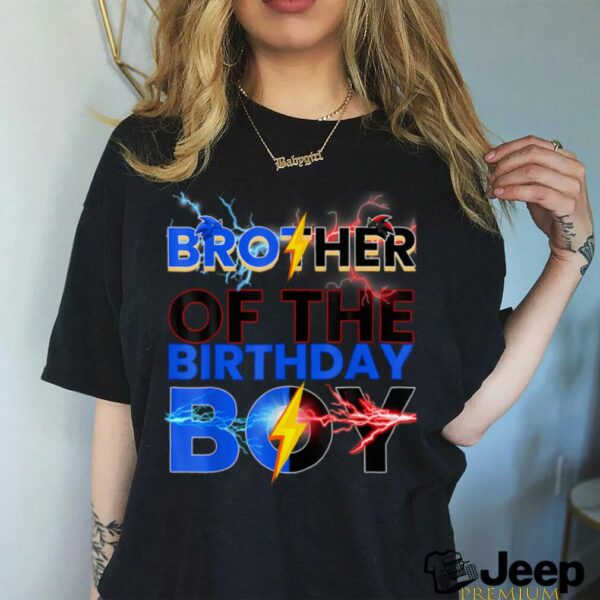 Brother Of The Birthday Boy Hedgehog Family Party T Shirt