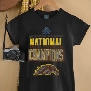 Champion Western Michigan Broncos Gray 2025 NCAA Frozen Four Men’s Ice Hockey National Champions Locker Room T Shirt