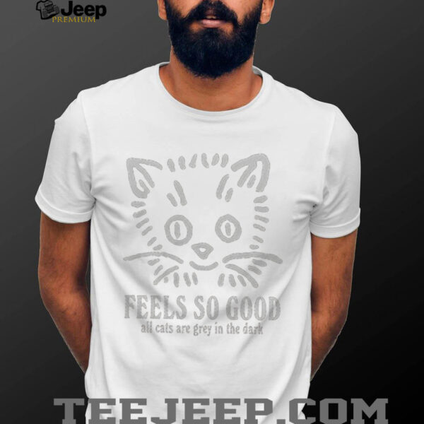 Feels so good all cats are grey in the dark shirt