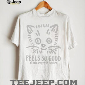 Feels so good all cats are grey in the dark shirt3