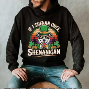 Funny If I Shenan Once I’ll Shenanigan Dog St Patricks...