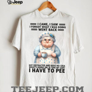 I Came I Saw I'm Forgot What I Was Doing Went Back Got T Shirt