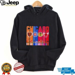 Skyline Chicago sports Bears Cubs Blackhawks Bulls logo shirt