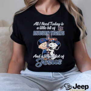 Snoopy And Charlie Brown All I Need Today Is A...