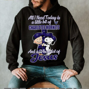 Snoopy And Charlie Brown All I Need Today Is A Little Bit Of Charlotte Hornets And A Whole Lot Of Jesus Tee 20254