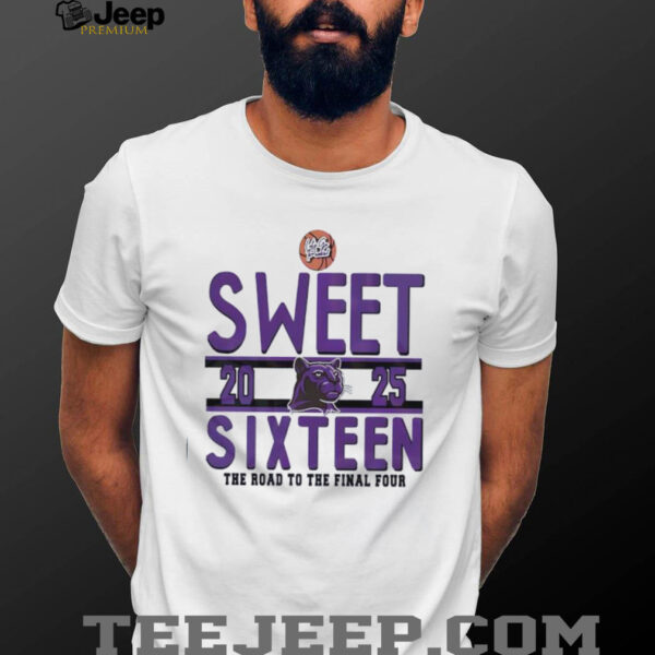 Sweet sixteen the road to the final four RC Edwards Panthers logo shirt