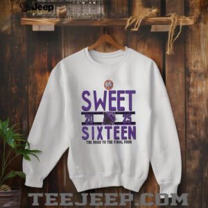 Sweet sixteen the road to the final four RC Edwards Panthers logo shirt2
