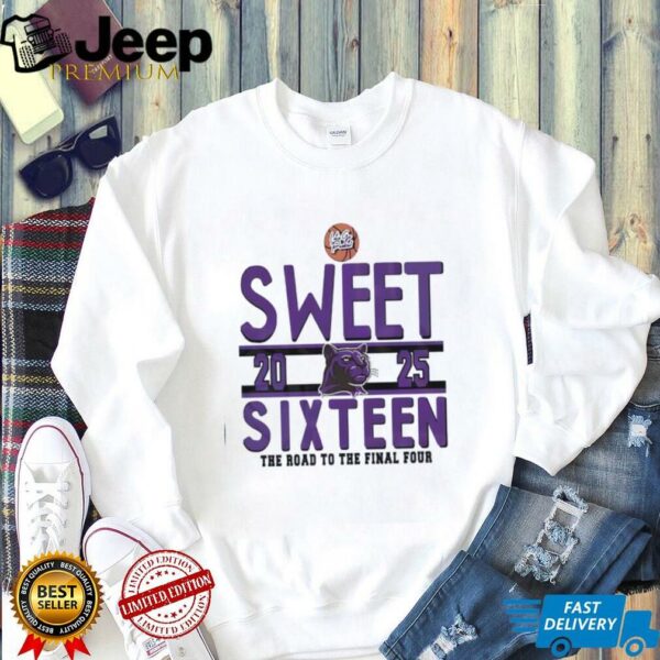 Sweet sixteen the road to the final four RC Edwards Panthers logo shirt