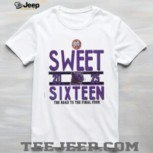 Sweet sixteen the road to the final four RC Edwards Panthers logo shirt4