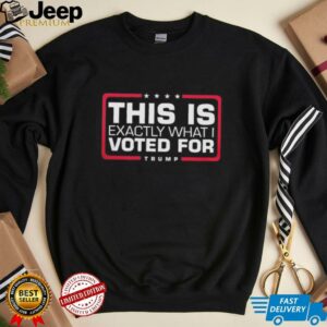 This is exactly what I voted for Trump shirt3