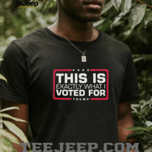 This is exactly what I voted for Trump shirt4