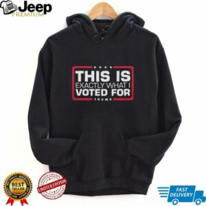 This is exactly what I voted for Trump shirt5