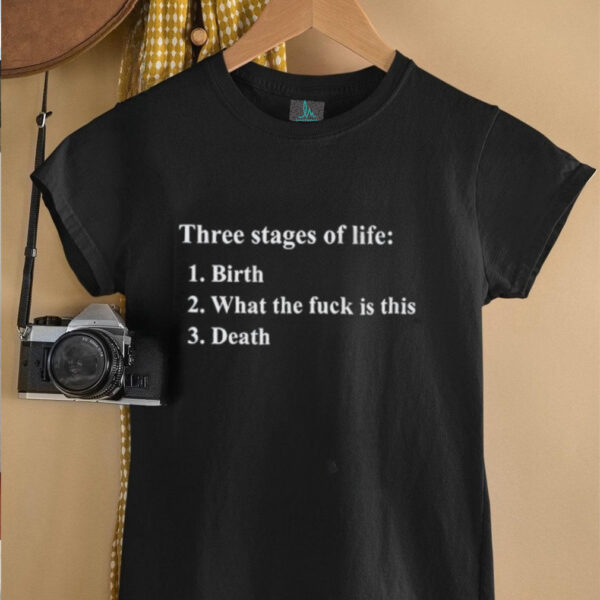 Three stages of life birth what the fuck is this death shirt