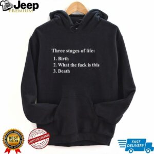 Three stages of life birth what the fuck is this death shirt4