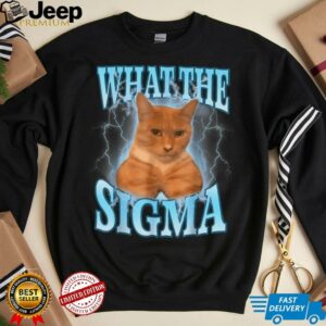 What The Sigma Meme Cat T Shirt1