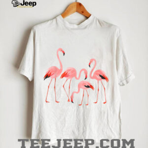 Funny Retro Flamingo Gift for Women Girls Flamingo Lovers T Shirt