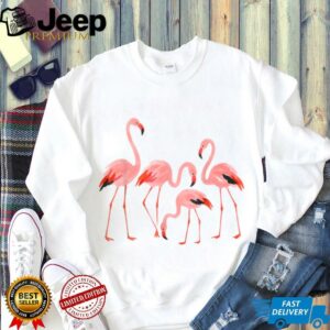 Funny Retro Flamingo Gift for Women Girls Flamingo Lovers T Shirt