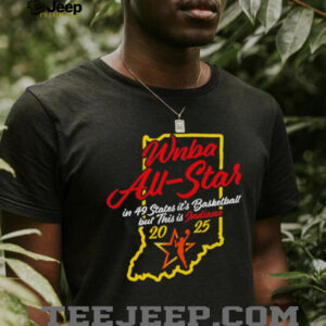 Indiana Fever 2025 WNBA All Star in 49 states it’s basketball but this is Indiana shirt