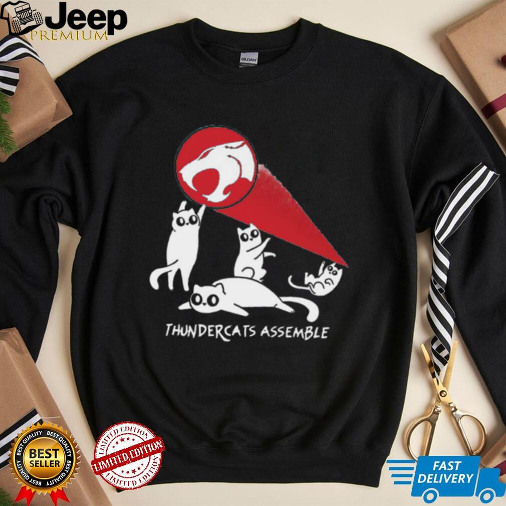 Thundercats assemble shirt design featuring Thundercats characters