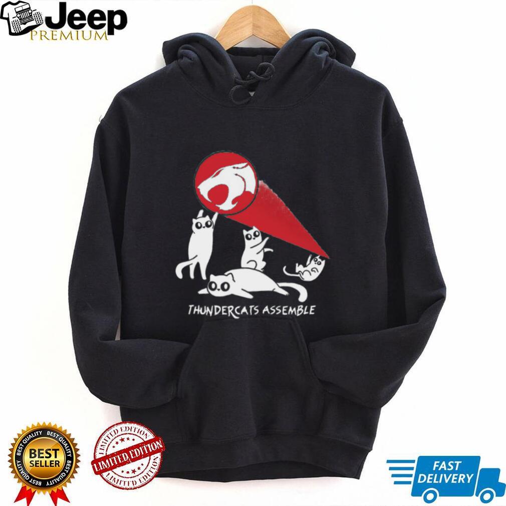 Thundercats assemble shirt Thundercats assemble shirt