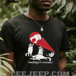 Thundercats assemble shirt
