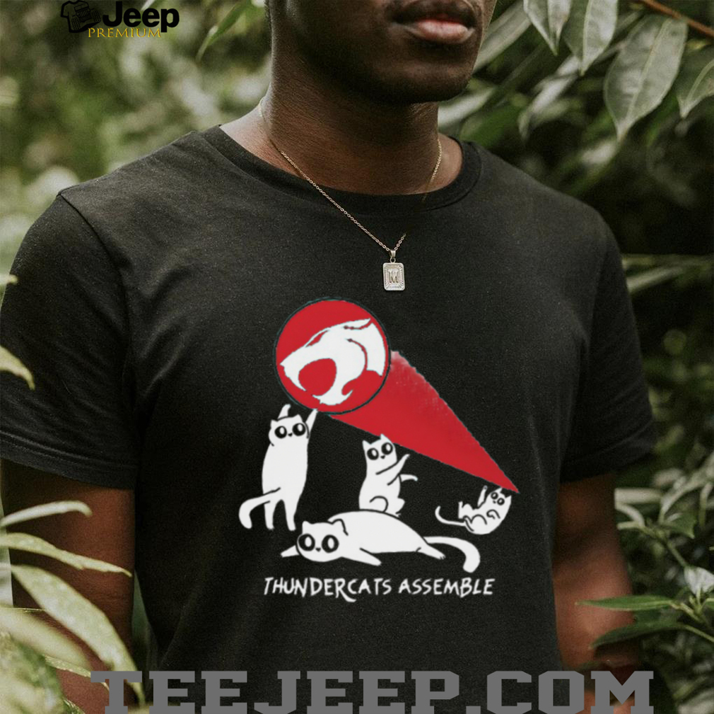 Person confidently wearing the Thundercats assemble shirt