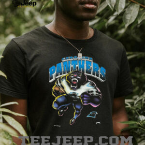1993 Carolina Panthers Vintage Faded Black Nutmeg Mills Roaring Cartoon Panther NFL Shirt