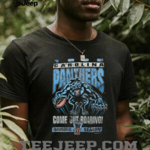 1995 Carolina Panthers Vintage Faded Black Inaugural Season Come Out...