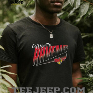 Azure Triblend T Shirt