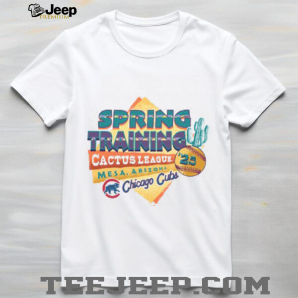 Chicago Cubs 2025 Spring Training ’47 Grey Franklin T Shirt