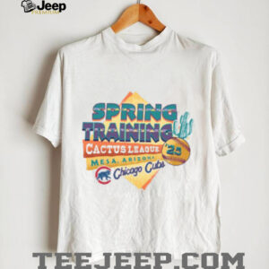 Chicago Cubs 2025 Spring Training ’47 Grey Franklin T Shirt