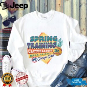 Chicago Cubs 2025 Spring Training '47 Grey Franklin T Shirt