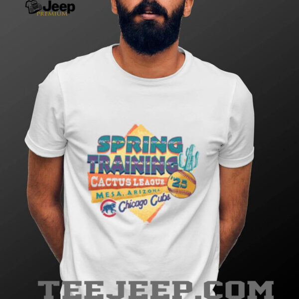 Chicago Cubs 2025 Spring Training ’47 Grey Franklin T Shirt