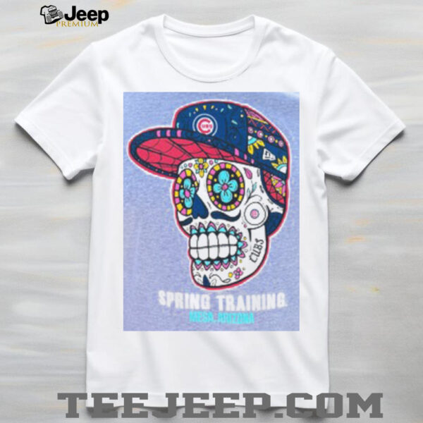 Chicago Cubs Skull Spring Training Mesa, AZ Grey New Era T Shirt