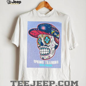 Chicago Cubs Skull Spring Training Mesa, AZ Grey New Era T Shirt