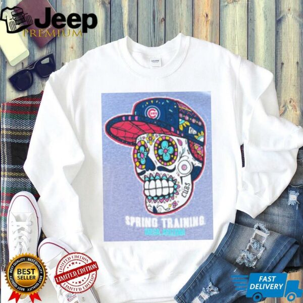Chicago Cubs Skull Spring Training Mesa, AZ Grey New Era T Shirt