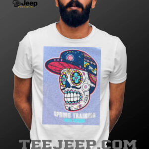 Chicago Cubs Skull Spring Training Mesa, AZ Grey New Era T Shirt