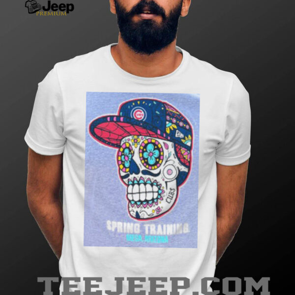 Chicago Cubs Skull Spring Training Mesa, AZ Grey New Era T Shirt