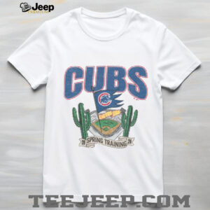 Chicago Cubs Skull Spring Training Mesa, AZ Grey New Era T Shirt