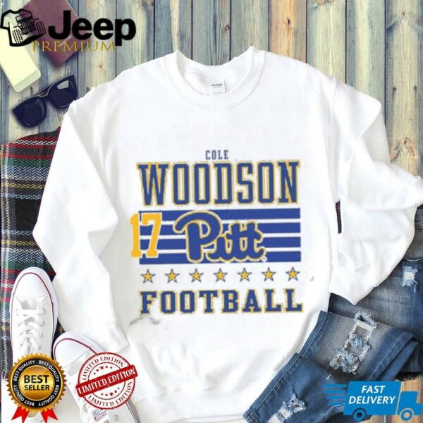 Cole Woodson Rally Mens Ash Pitt Panthers NIL Striped Player T Shirt