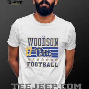 Cole Woodson Rally Mens Ash Pitt Panthers NIL Striped Player T Shirt