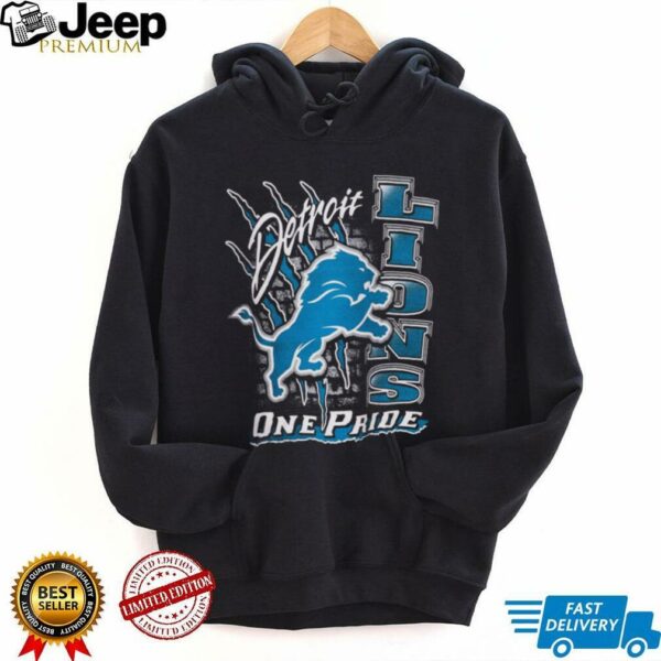 Detroit Lions One Pride Vintage Shirt