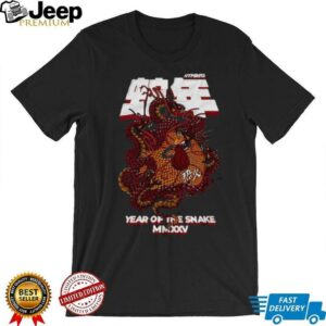 Miami Heat NBALab x Hyperfly Heather Black Year of the...