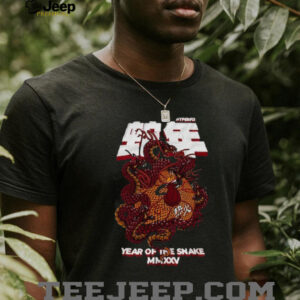 Miami Heat NBALab x Hyperfly Heather Black Year of the...
