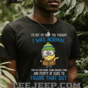 Minion it’s not my fault you thought I was normal you’ve had more than enough time and plenty of clues shirt